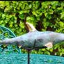 Hammerhead Shark - Patinated Bronze With Gold Accents Image 6