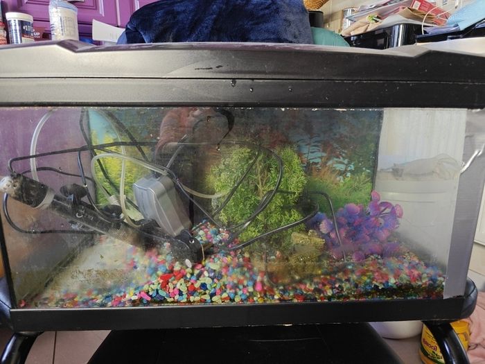 Fish Tank. There is a slight crack on the side of it but no leak as it's plastered. See the pic.  NO ACCESSORIES. TANK ONLY....