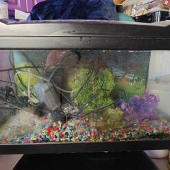 Fish Tank. There is a slight crack on the side of it but no leak as it's plastered. See the pic.  NO ACCESSORIES. TANK ONLY....