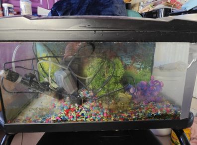 Fish Tank. There is a slight crack on the side of it but no leak as it's plastered. See the pic.  NO ACCESSORIES. TANK ONLY....