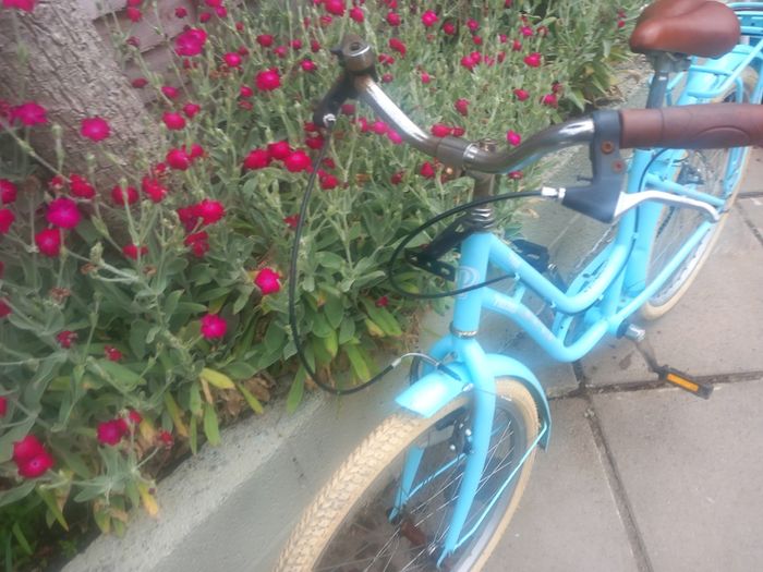 teenager bike