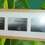 New Panoramic Collage Frame Image 6