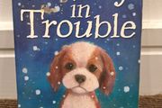 Timmy in Trouble - Holly Webb book