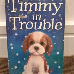 Timmy in Trouble - Holly Webb book