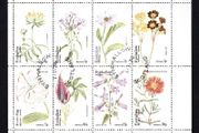 1974 Scotland Eynhallow (Cinderella Stamps) Flowers miniature sheet Fine Used