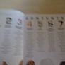 Pedigree Points D ogs, Hardback book,Non fiction Image 5