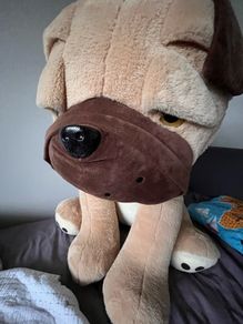 Gigantic teddy