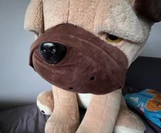 Gigantic teddy