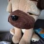 Dog teddy Image 2