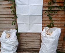 logs