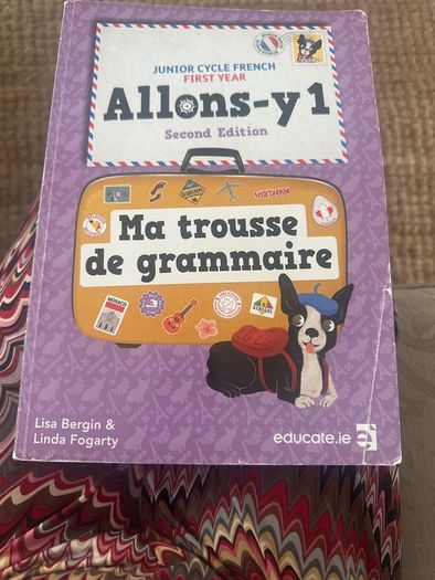 French Allons-Y 1 workbook