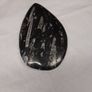 orthoceras fossil Image 2