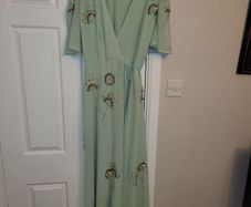 Occasional Dress