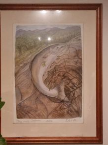 Pauline Bewick  - The Irish Salmon