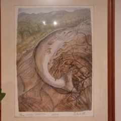 Pauline Bewick  - The Irish Salmon
