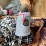 Small Dog Dress size S Image 6