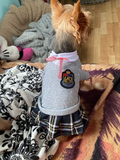 Small Dog Dress size S