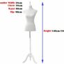 2 x New Womens Tailors Bust Dummy (White) - FREE Delivery Image 5