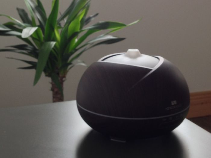 Diffuser with Natural Oils