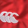 British Irish Lions Rugby jersey Image 5