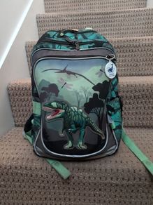 Ergonomic School backpack