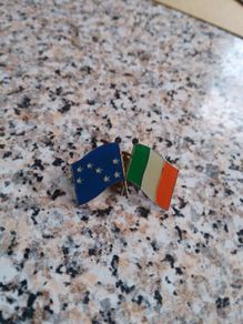 Ireland Starry Plough pin
