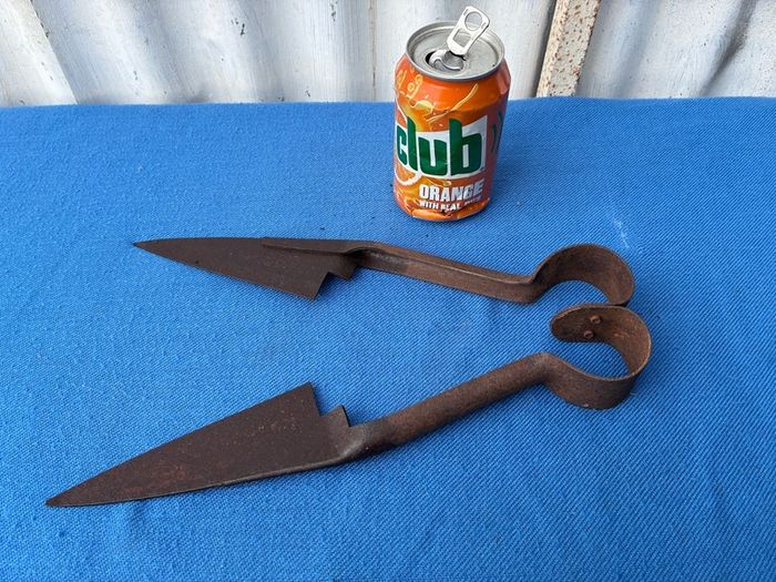 Vintage sheep shears