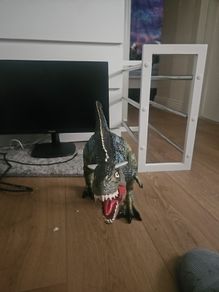 dinasour