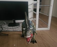dinasour