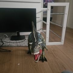dinasour