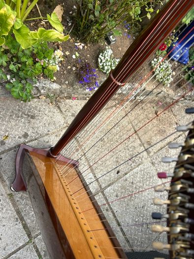 Aoyama 34 String Lever Harp