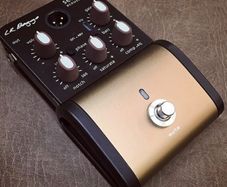 Lr baggs session Di