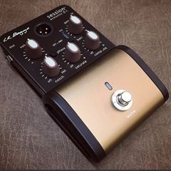 Lr baggs session Di