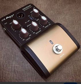 Lr baggs session Di