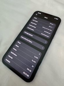 iPhone 13 Pro Max