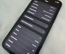 iPhone 13 Pro Max