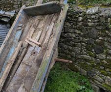horse cart