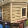 dog house Image 7