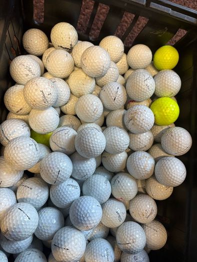 50 Titleist (Prov1) Golf Balls