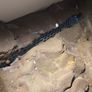 Custom Vivarium Image 5