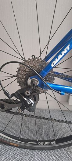 Giant TCR 1
