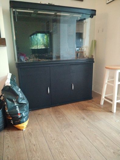 300 litre fish tank