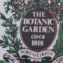 Rare find Porcelain lidded jar with lid Vintage Portmeirion Botanic Garden storage jar NO Crazing Image 6