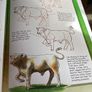 I can draw on the Farm hardcover book Image 4