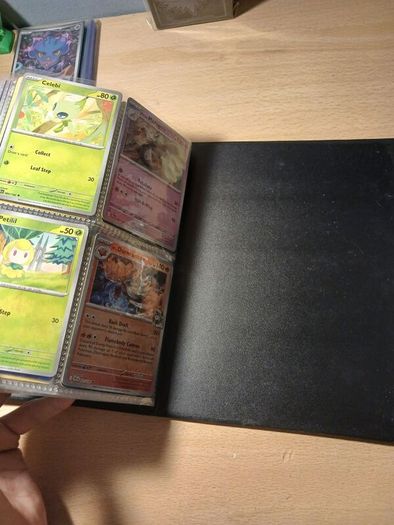 Pokemon card binder