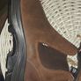 New Leather Steel toe safety boots Image 3
