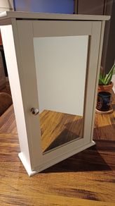 Bathroom mirror storage