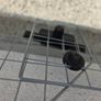 Halfords Mesh Headrest Dog Guard Image 5