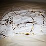 Gold Marble Pattern Sheet Set Image 2