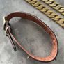 Show collars and lead Image 3